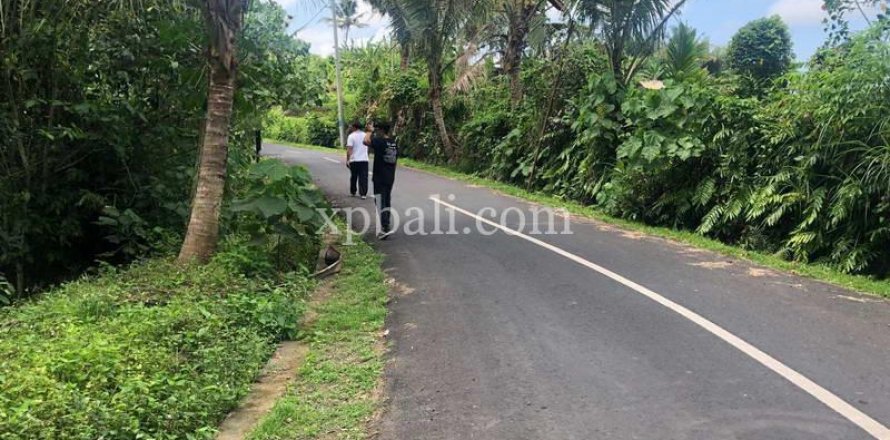 Земельный участок 800м2 в Gianyar, Гианьяр, Индонезия № 287