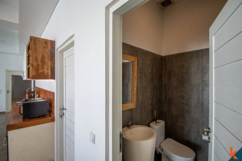 5 bedrooms Villa in Kerobokan, Badung, Indonesia No. 11176 24
