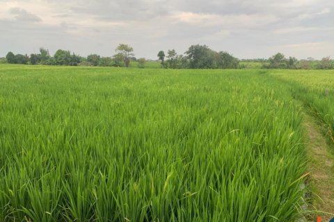 Land in Munggu, Mengwi, Badung, Indonesia No. 11181