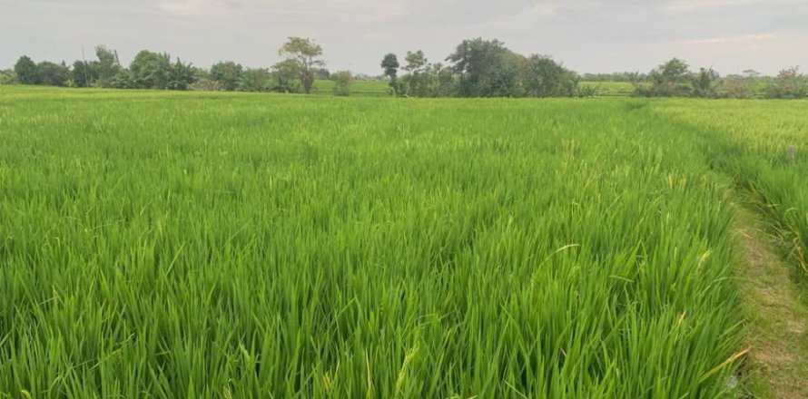 Land in Munggu, Mengwi, Badung, Indonesia No. 11181