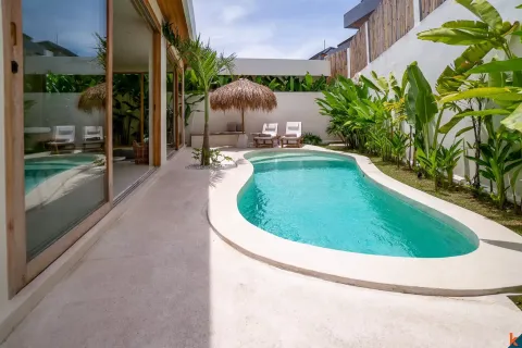2 bedrooms Villa in Tumbak Bayuh, Mengwi, Badung, Indonesia No. 10833 2