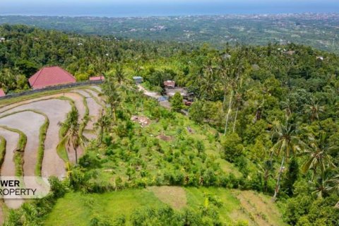 1730m2 Land in Lovina, Anturan, Buleleng, Indonesia No. 9332 12