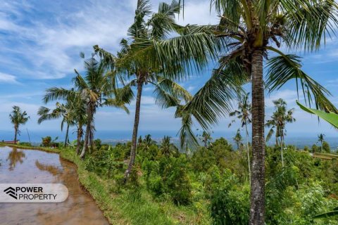1730m2 Land in Lovina, Anturan, Buleleng, Indonesia No. 9332 7