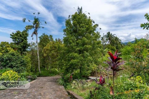 1730m2 Land in Lovina, Anturan, Buleleng, Indonesia No. 9332 2
