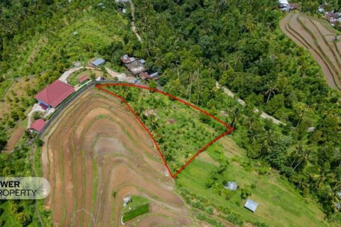1730m2 Land in Lovina, Anturan, Buleleng, Indonesia No. 9332 15