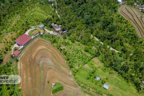 1730m2 Land in Lovina, Anturan, Buleleng, Indonesia No. 9332 9