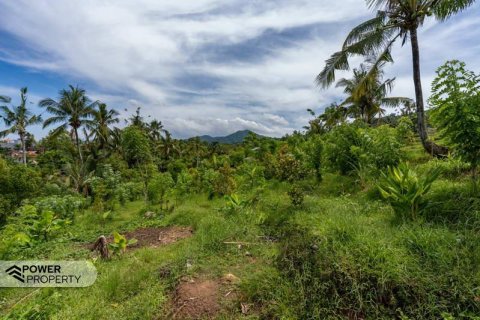 1730m2 Land in Lovina, Anturan, Buleleng, Indonesia No. 9332 4