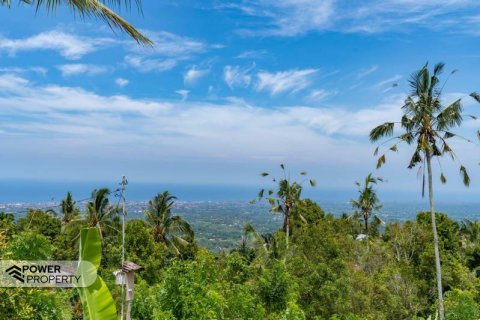 1730m2 Land in Lovina, Anturan, Buleleng, Indonesia No. 9332 6
