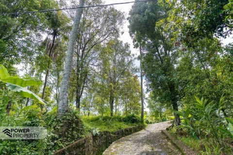 1730m2 Land in Lovina, Anturan, Buleleng, Indonesia No. 9332 14