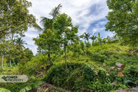 1730m2 Land in Lovina, Anturan, Buleleng, Indonesia No. 9332 16