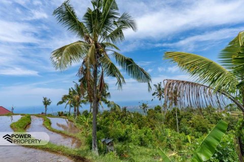 1730m2 Land in Lovina, Anturan, Buleleng, Indonesia No. 9332 8