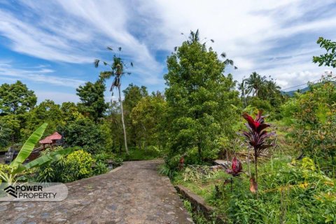 1730m2 Land in Lovina, Anturan, Buleleng, Indonesia No. 9332 3