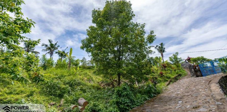1730m2 Land in Lovina, Anturan, Buleleng, Indonesia No. 9332