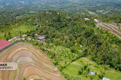 1730m2 Land in Lovina, Anturan, Buleleng, Indonesia No. 9332 11