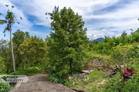 1730m2 Land in Lovina, Anturan, Buleleng, Indonesia No. 9332 5