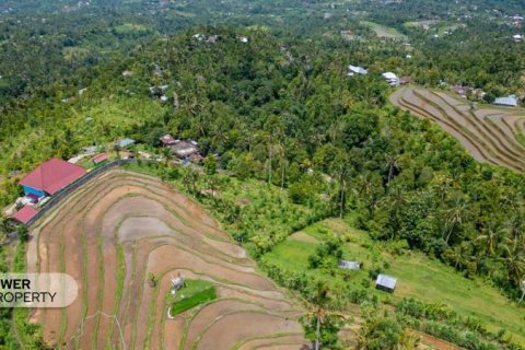 1730m2 Land in Lovina, Anturan, Buleleng, Indonesia No. 9332 10