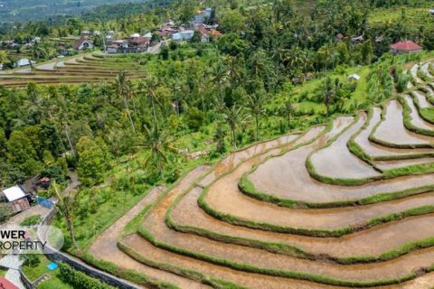 1730m2 Land in Lovina, Anturan, Buleleng, Indonesia No. 9332 13
