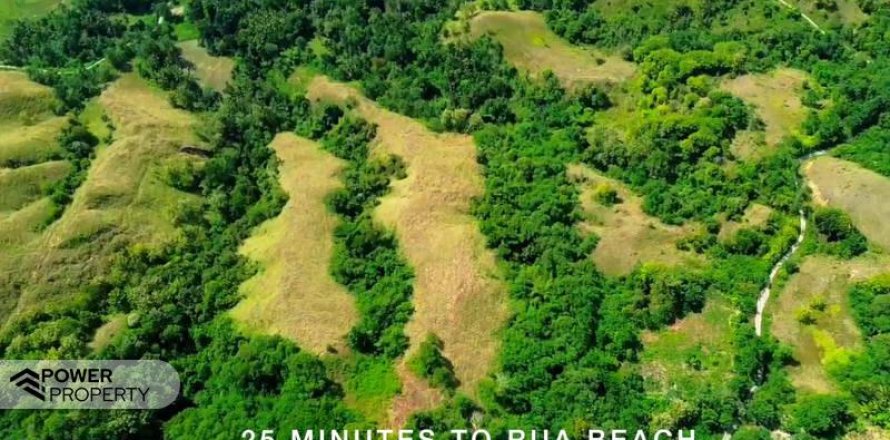 Земельный участок 31484м2 в Индонезии № 9333