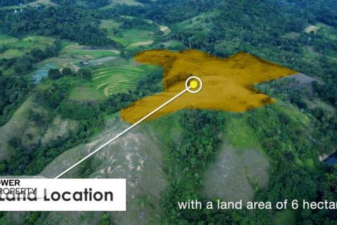 60949m2 Land in Indonesia No. 9334 6
