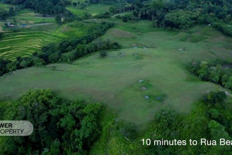 60949m2 Land in Indonesia No. 9334 4