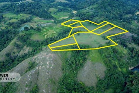 60949m2 Land in Indonesia No. 9334 1