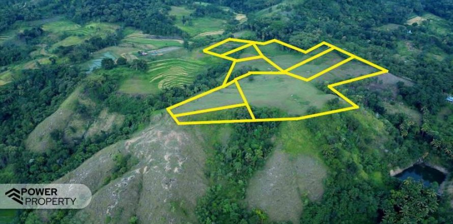 60949m2 Land in Indonesia No. 9334