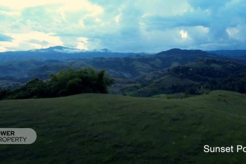 60949m2 Land in Indonesia No. 9334 8
