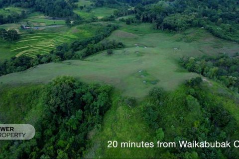 60949m2 Land in Indonesia No. 9334 3