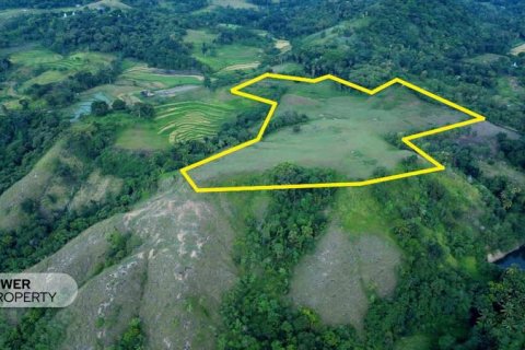60949m2 Land in Indonesia No. 9334 2