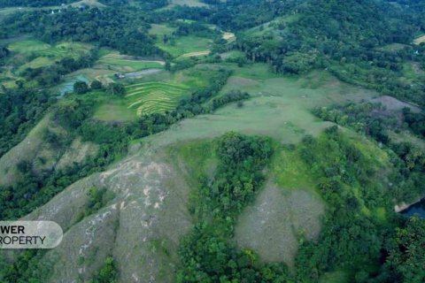 60949m2 Land in Indonesia No. 9334 9