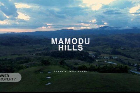 60949m2 Land in Indonesia No. 9334 11