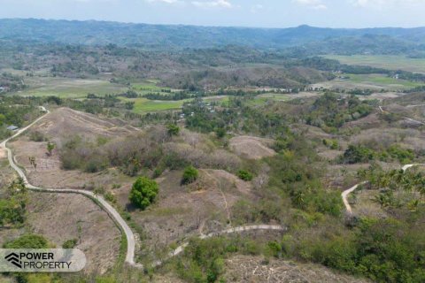 17000m2 Land in Indonesia No. 9330