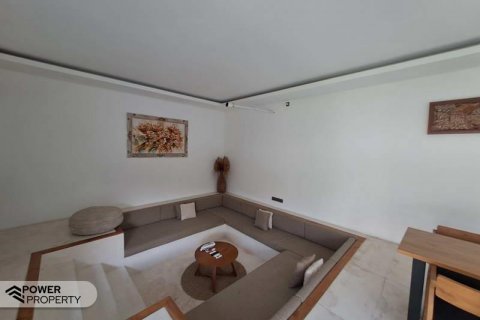 Вилла с 2 спальнями в Canggu, Бадунг, Индонезия № 8255 10