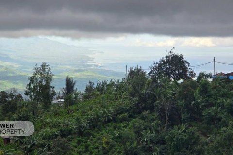 3000m2 Land in Buleleng, Indonesia No. 8787