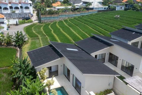 2 bedrooms Villa in Canggu, Badung, Indonesia No. 8785