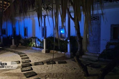 4 bedrooms Villa in Gili Meno, Gili Indah, North Lombok, Indonesia No. 13546 3