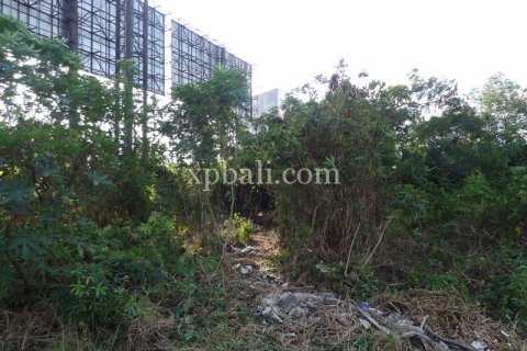 2190m2 Land in Seminyak, Badung, Indonesia No. 355 16