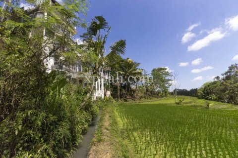 9 bedrooms Villa in Tabanan, Indonesia No. 352 16
