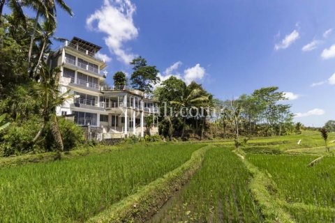 9 bedrooms Villa in Tabanan, Indonesia No. 352