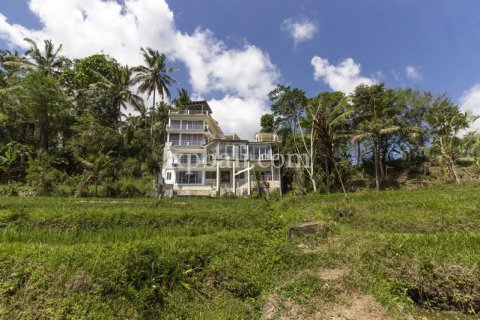 9 bedrooms Villa in Tabanan, Indonesia No. 352 18