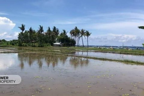 25000m2 Land in Lovina, Anturan, Buleleng, Indonesia No. 7695