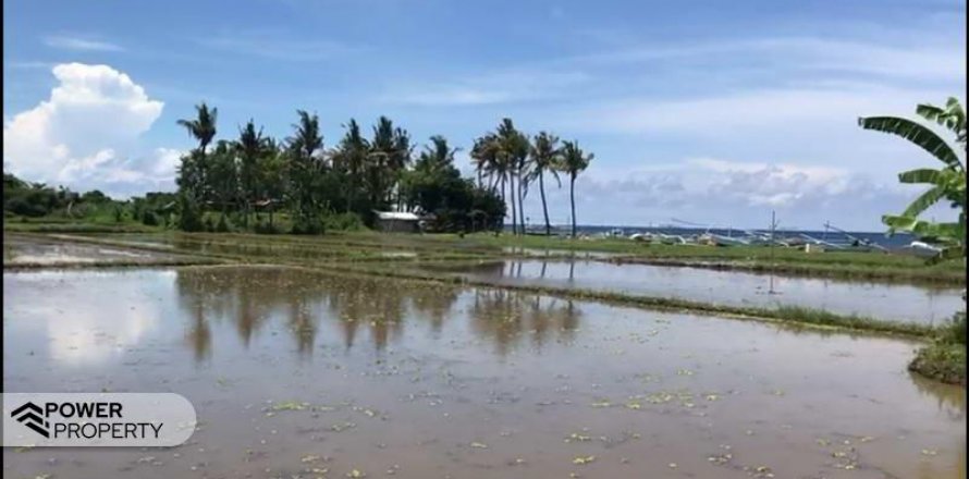 25000m2 Land in Lovina, Anturan, Buleleng, Indonesia No. 7695