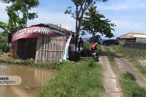 25000m2 Land in Lovina, Anturan, Buleleng, Indonesia No. 7695 2