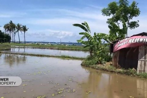 25000m2 Land in Lovina, Anturan, Buleleng, Indonesia No. 7695 4