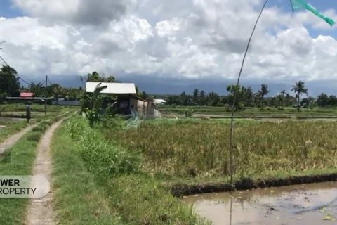 25000m2 Land in Lovina, Anturan, Buleleng, Indonesia No. 7695 5