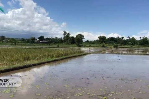 25000m2 Land in Lovina, Anturan, Buleleng, Indonesia No. 7695 3