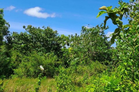 2000m2 Land in South Kuta, Badung, Indonesia No. 7689