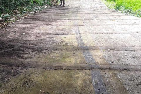7000m2 Land in Lovina, Anturan, Buleleng, Indonesia No. 7664 9