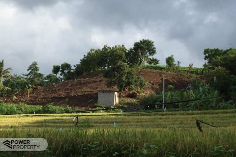 7000m2 Land in Lovina, Anturan, Buleleng, Indonesia No. 7664 5