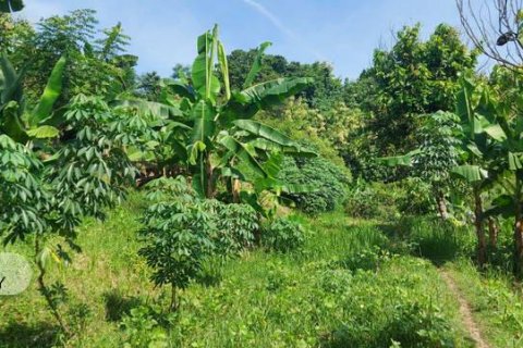 7000m2 Land in Lovina, Anturan, Buleleng, Indonesia No. 7664 10